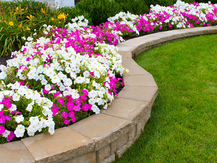 vallejo landscaping