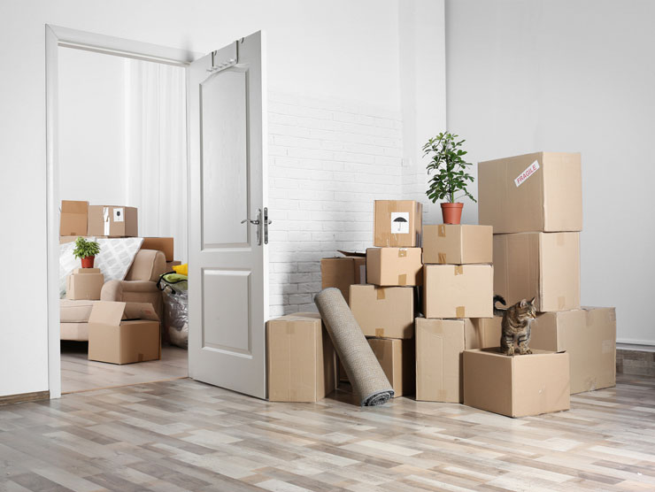 Move to Aruba with Honest and Knowledgeable company packers and movers for residential, commercial, offices and hotels  packing material in Aruba